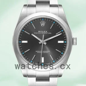 Rolex Oyster Perpetual 41mm m114300-0002 Unisex Gray Dial